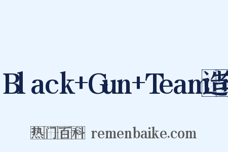 Black+Gun+Team造句是什么意思的图片